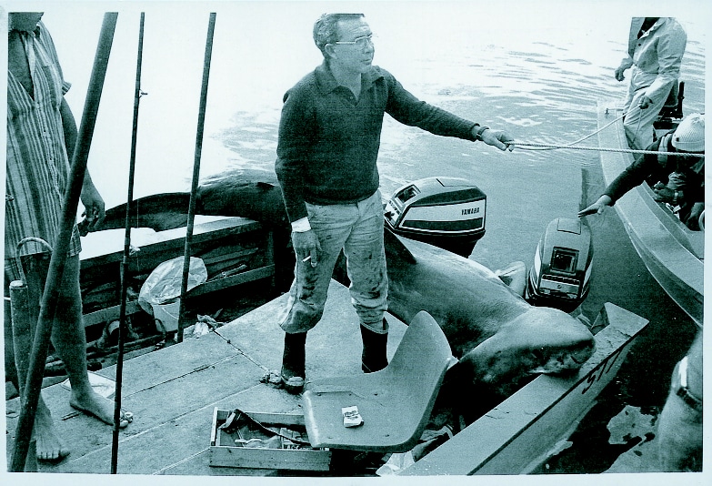 Man in boat damaged by a white shark