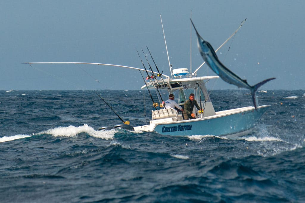 Billfish jumping alongside deep sea fishing boat
