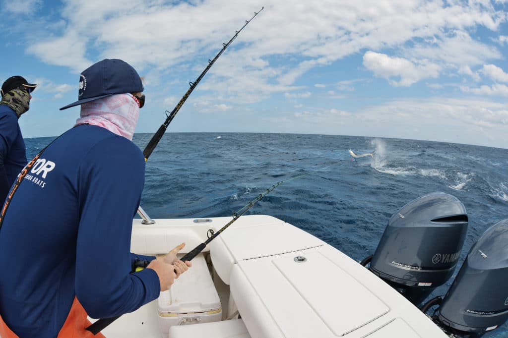 Hooked sailfish jumping while fisherman fights from a fishing boat