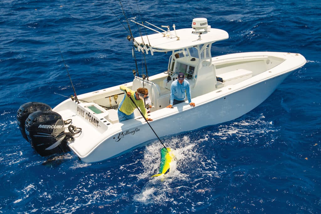 Angler gaffing mahimahi while offshore fishing in a Yellowfin boat