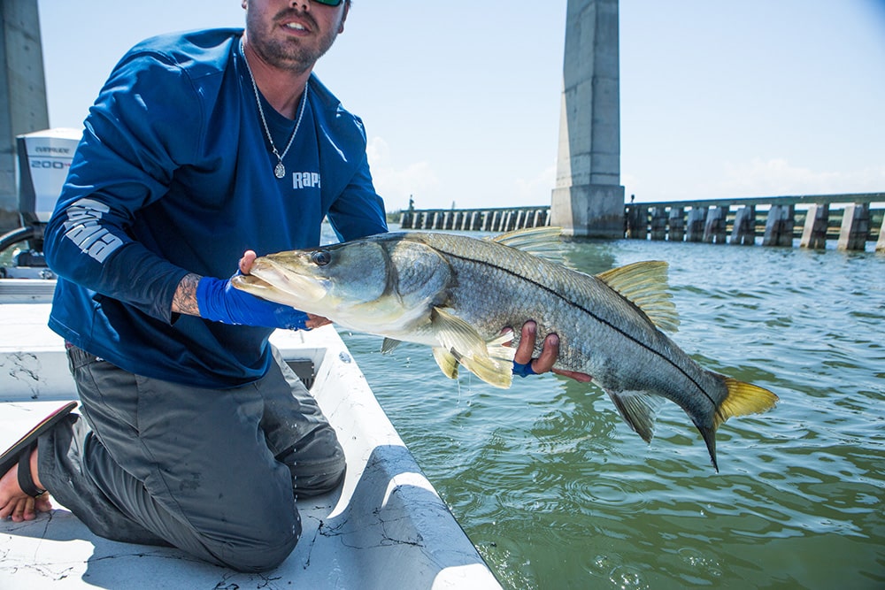 snook fishing in Florida