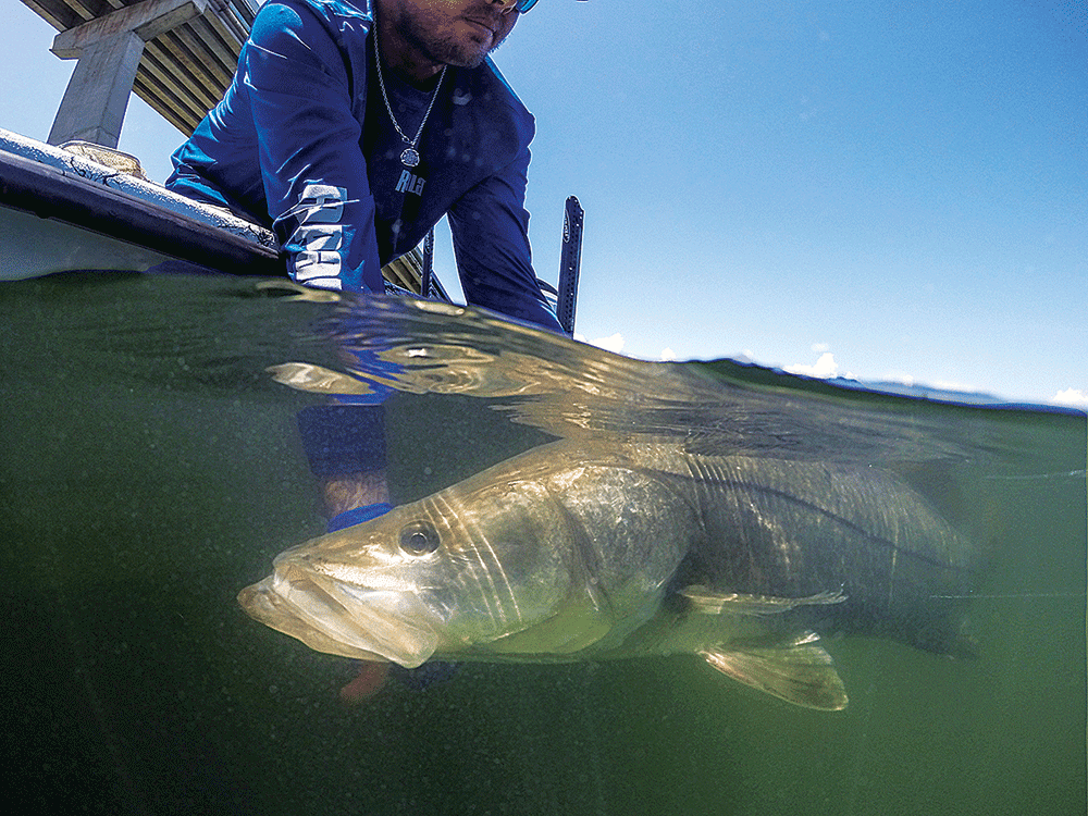 fishing for big snook