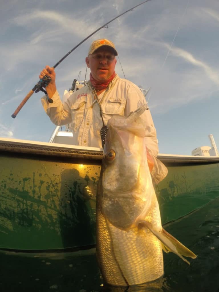 snook release