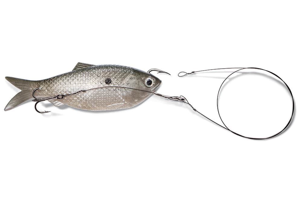 How to Rig Soft Plastic Lures for Salt Water