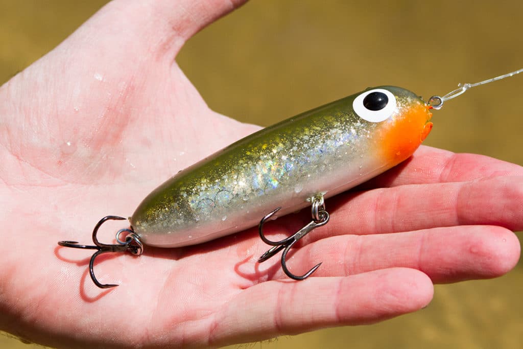 Secrets of Fishing Soft Plastics