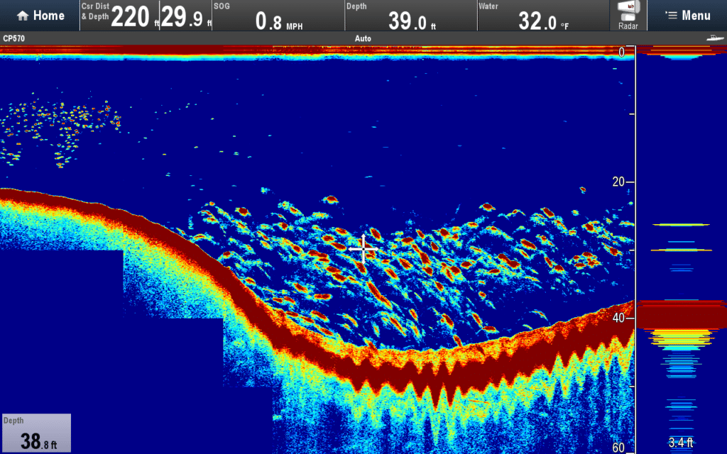 Raymarine CP570/R599 CHIRP Sounder Screenshots