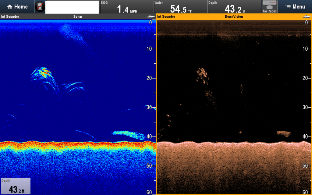 Raymarine CP570/R599 CHIRP Sounder Screenshots