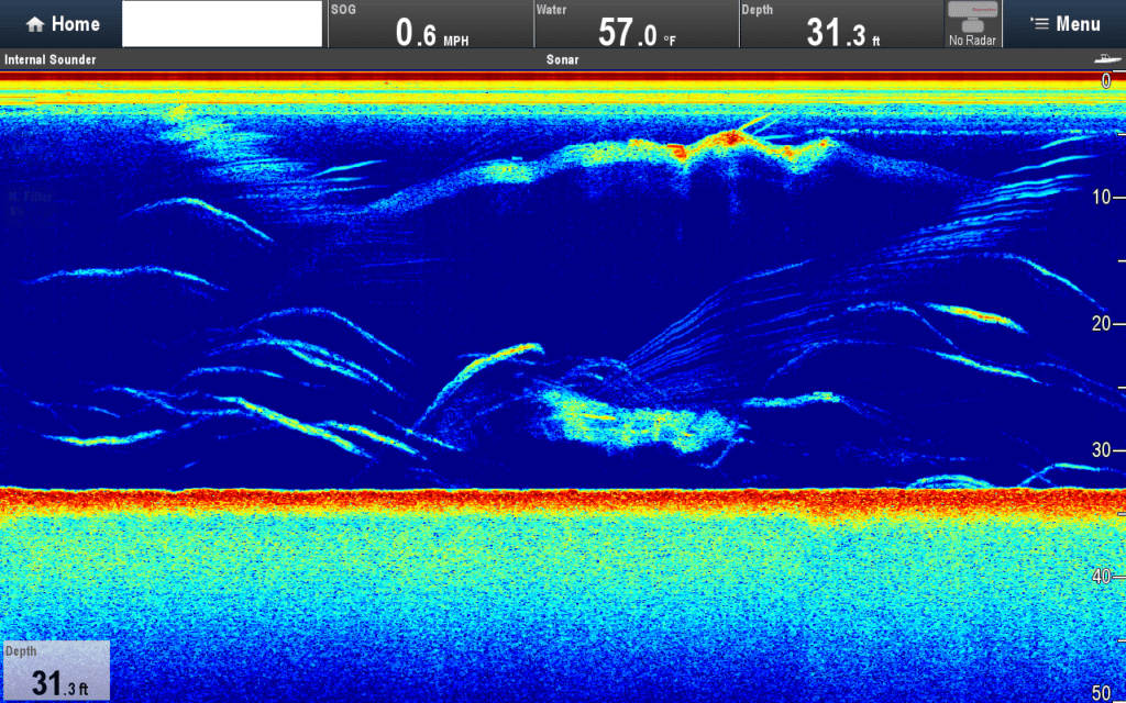 Raymarine CP570/R599 CHIRP Sounder Screenshots