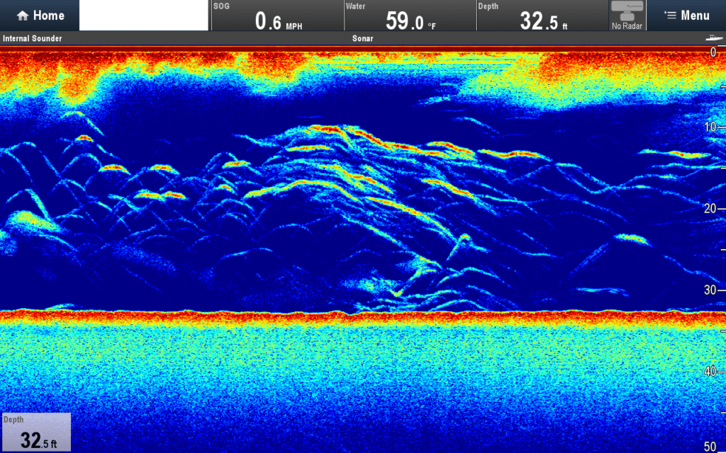Raymarine CP570/R599 CHIRP Sounder Screenshots