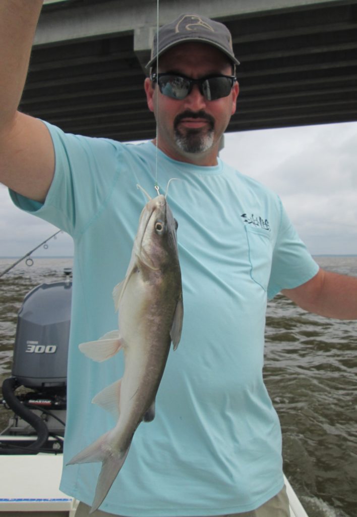 Angler carefully holding a catfish