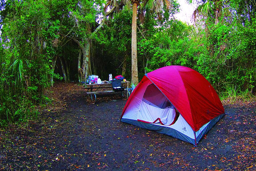 Willy Willy Campsite fishing Everglades Florida