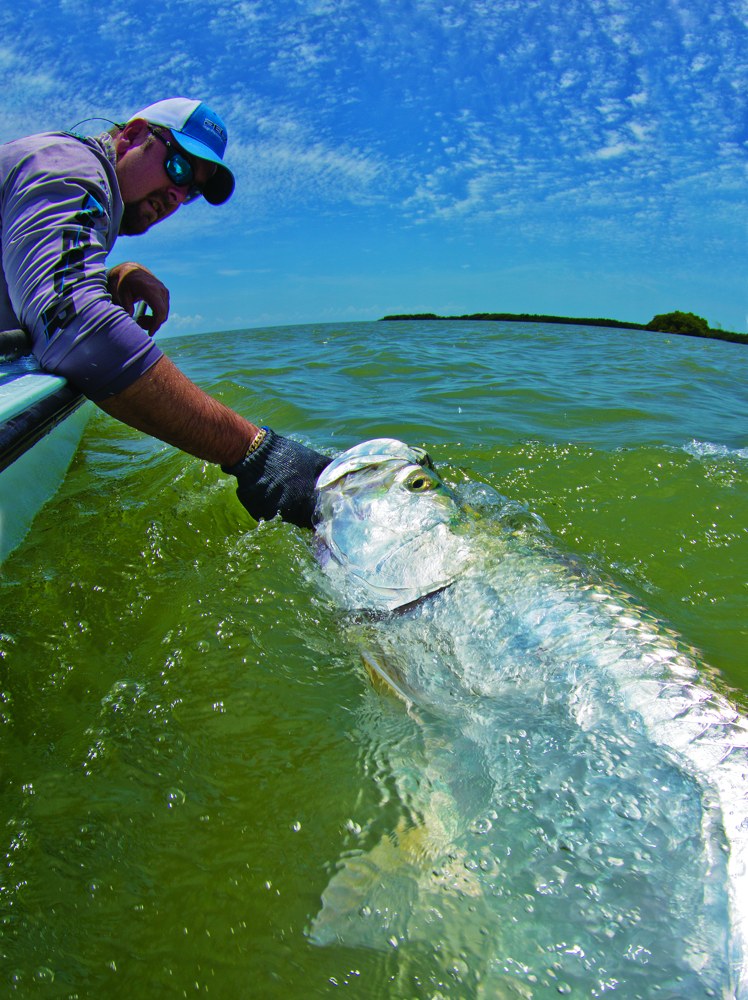 angler and tarpon caught fishing Everglades Florida