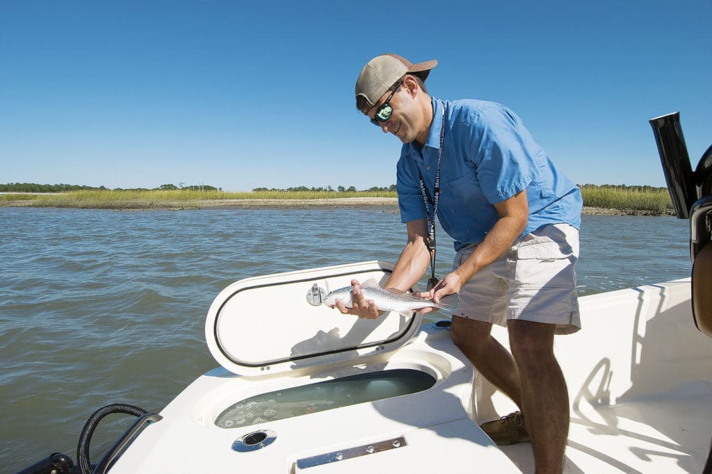 Redfish caught aboard Scout 231 XS