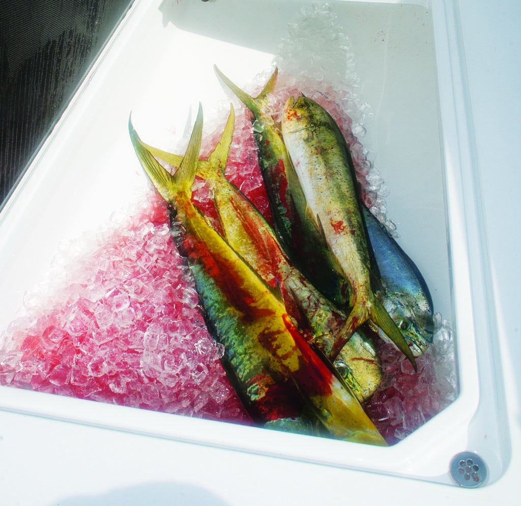 A large, insulated fish locker in the bow keeps fish cold.