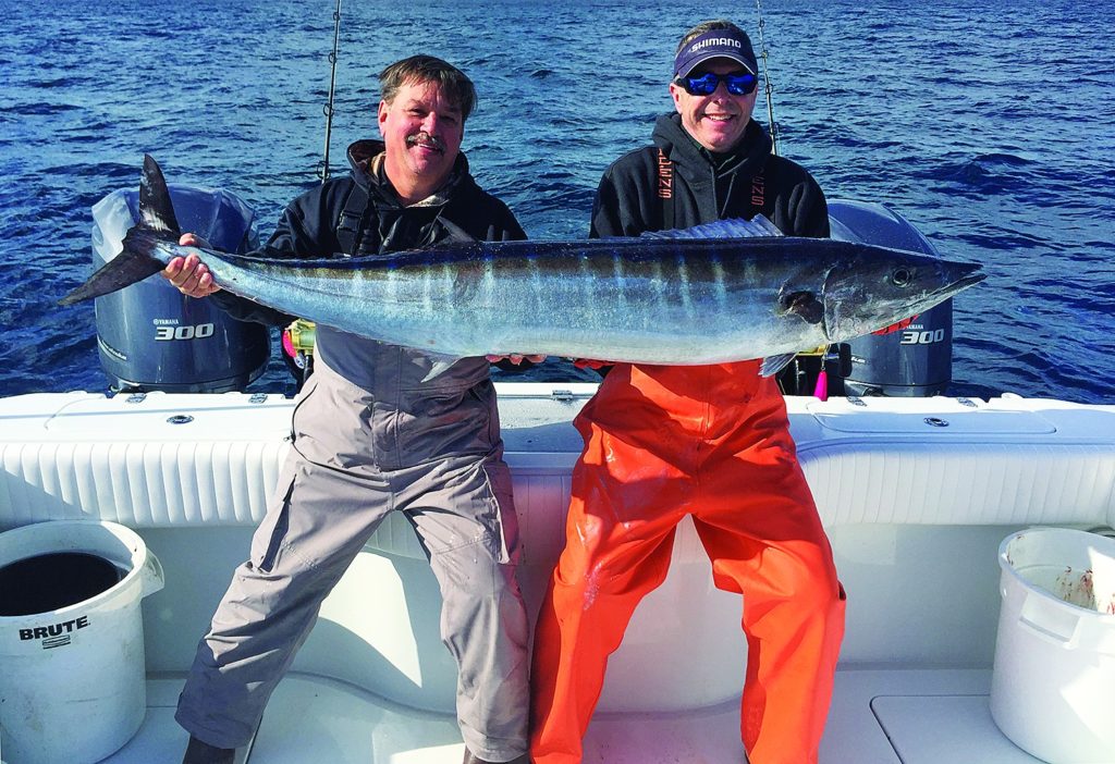 Wahoo fishing out of Venice, Louisiana- one wahoo of many