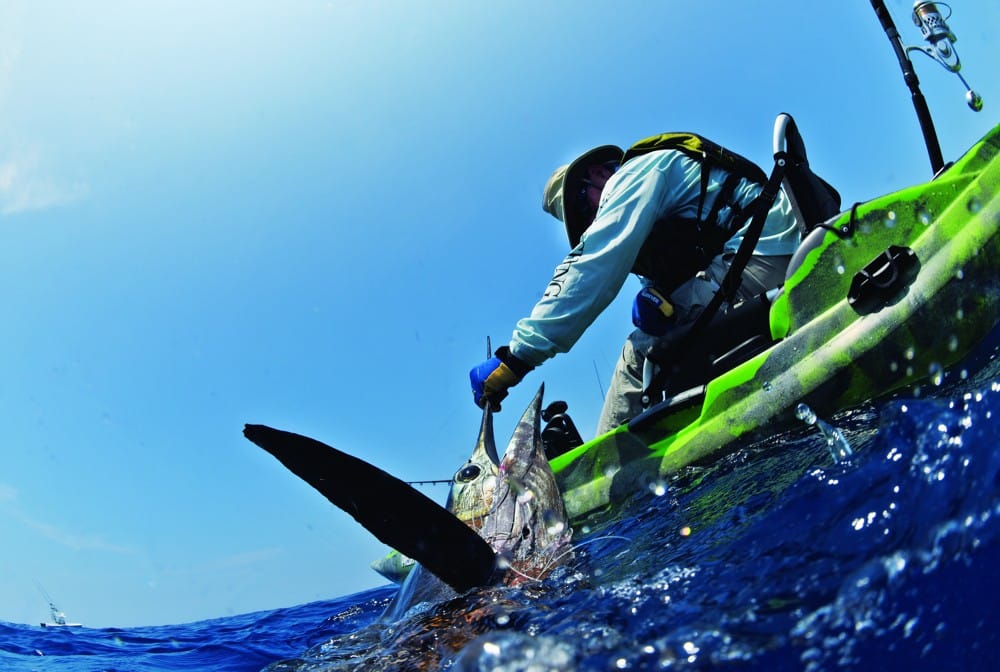 A big Pacific sailfish is released by a kayak angler off the Guatemala coast