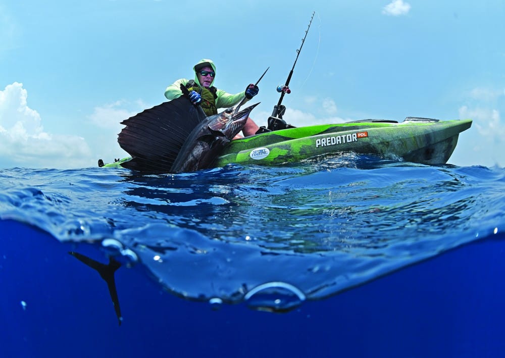 David Hadden lifts a sailifsh before its release for the camera