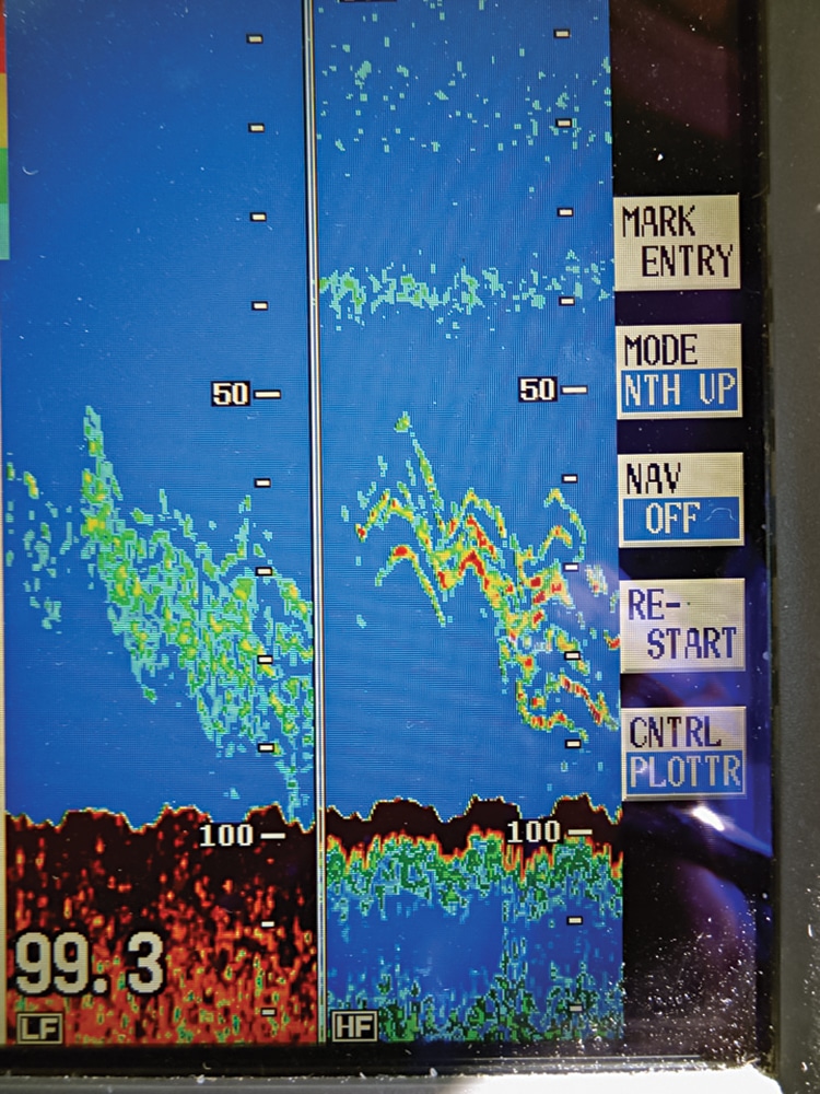 spf0215_f-ycc_8.jpg