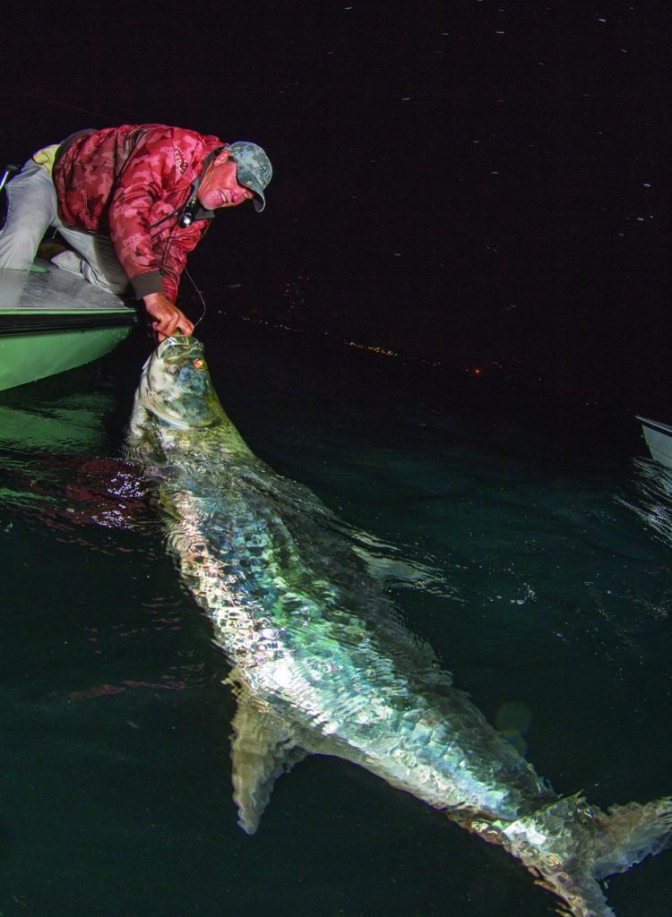 Huge tarpon caught at night in the Florida Keys