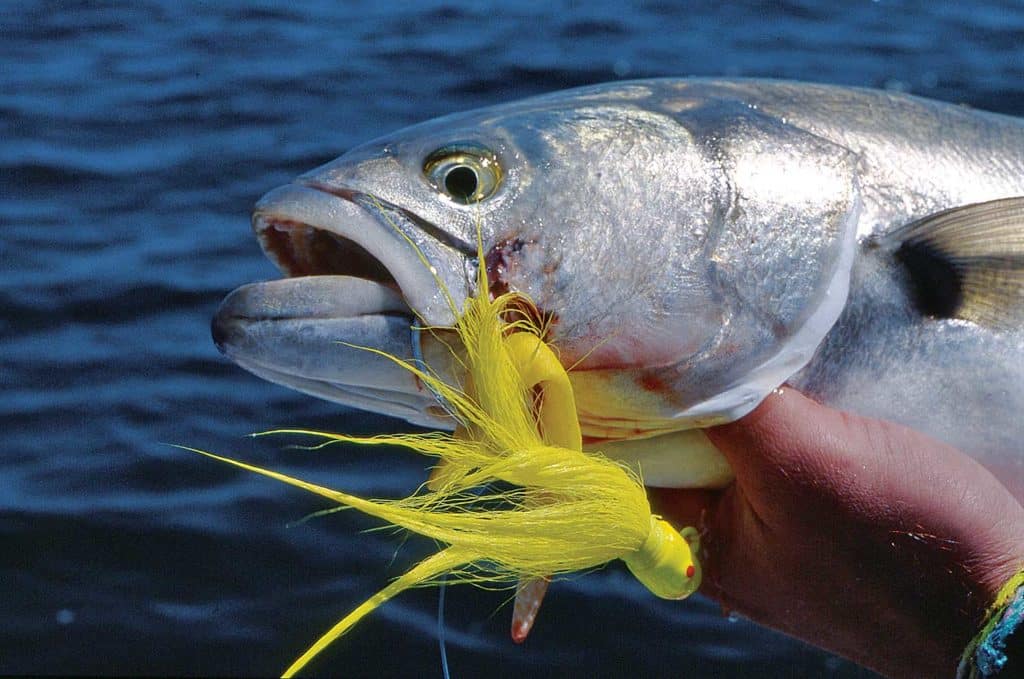 How to Fish Bucktails Jigs to Catch More Fish