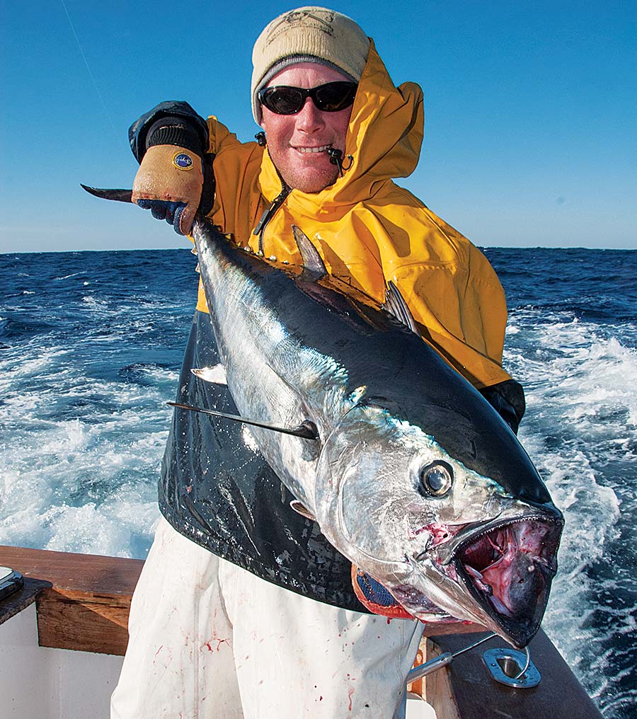 Catch Massive Bluefin Tuna on Lures