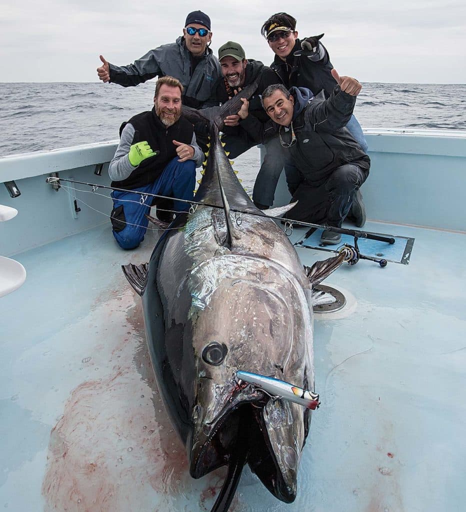 Catch Massive Bluefin Tuna on Lures