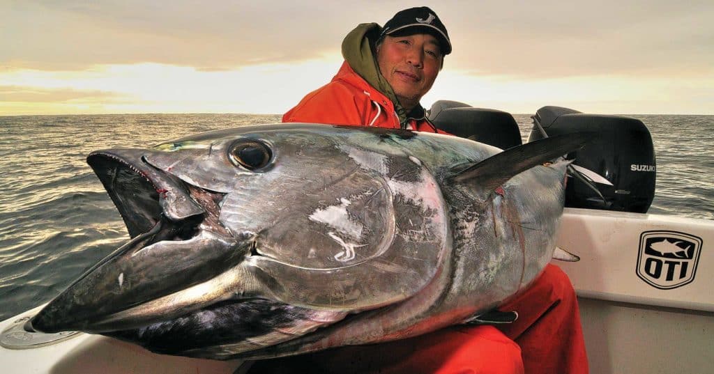 Catch Massive Bluefin Tuna on Lures