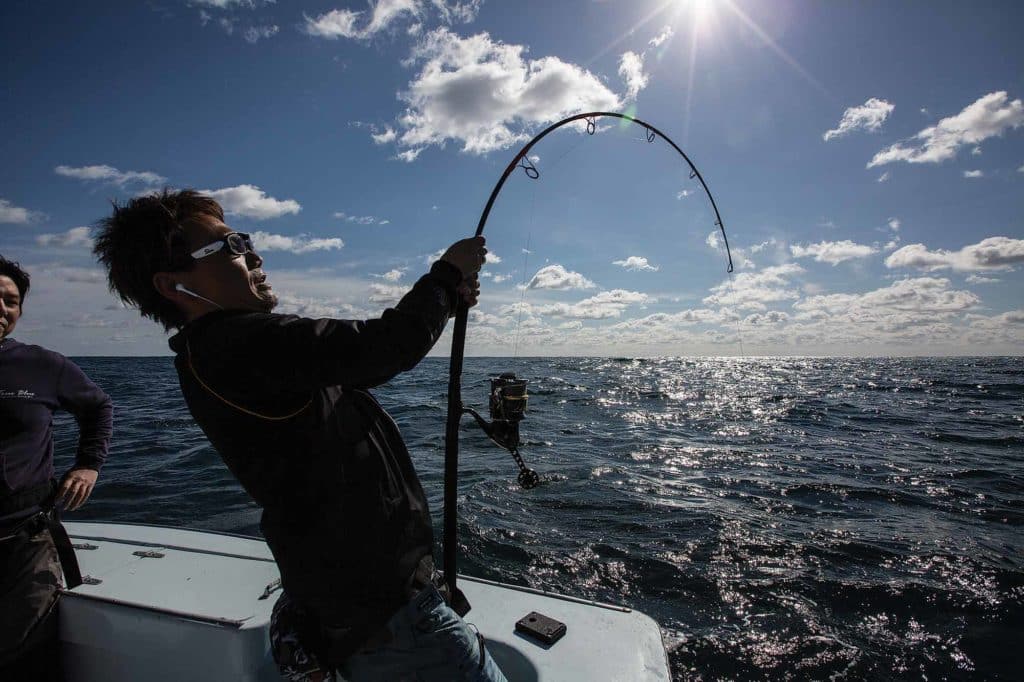 Catch Massive Bluefin Tuna on Lures