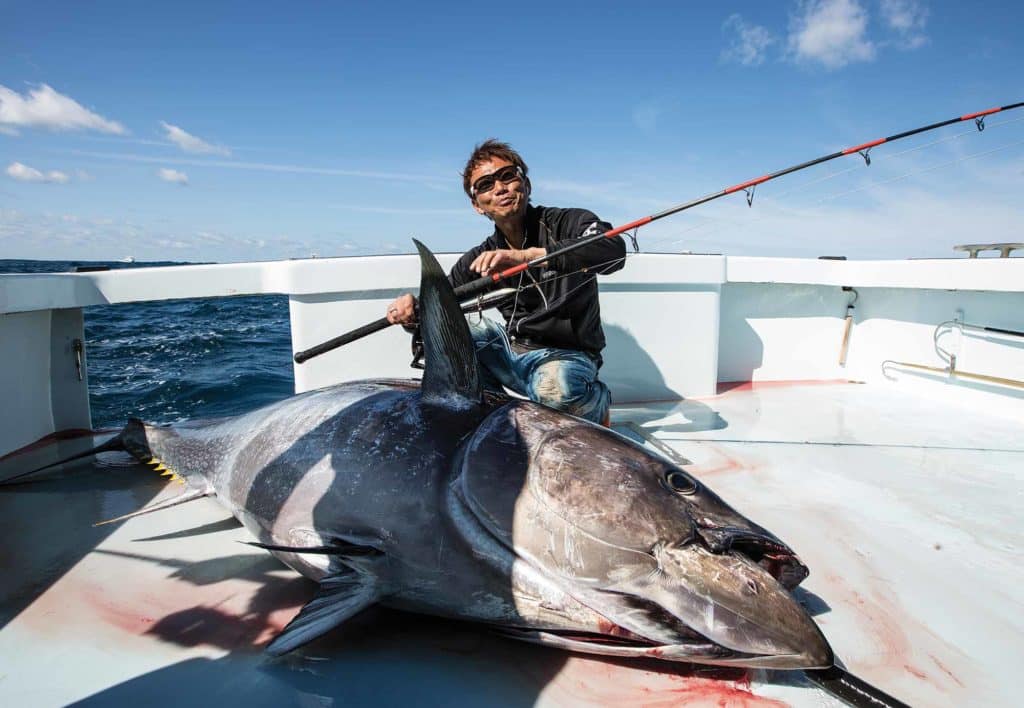 Catch Massive Bluefin Tuna on Lures