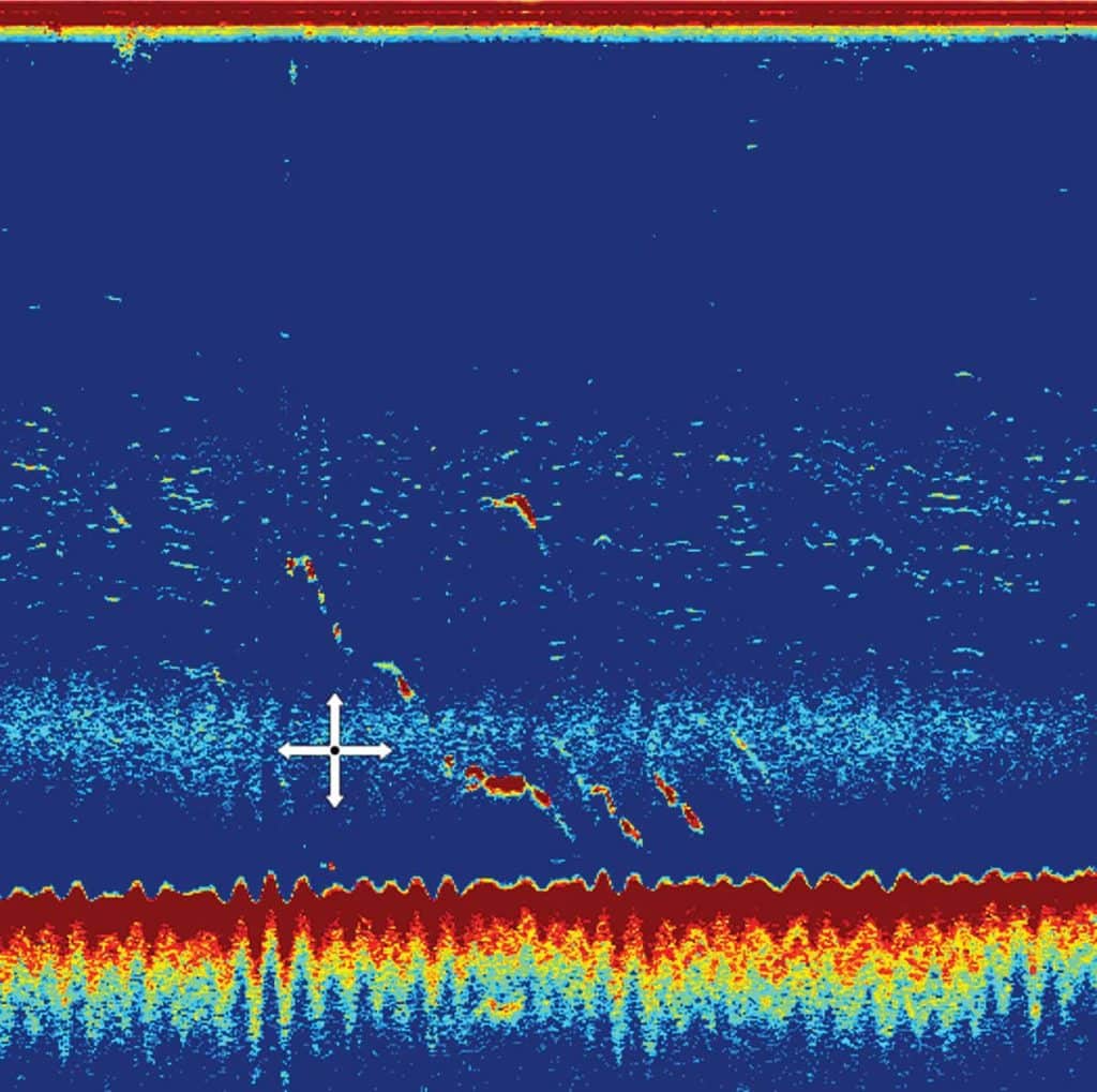 Motion Sensors Offer Better Bottom Readings for 3D Fish Finders