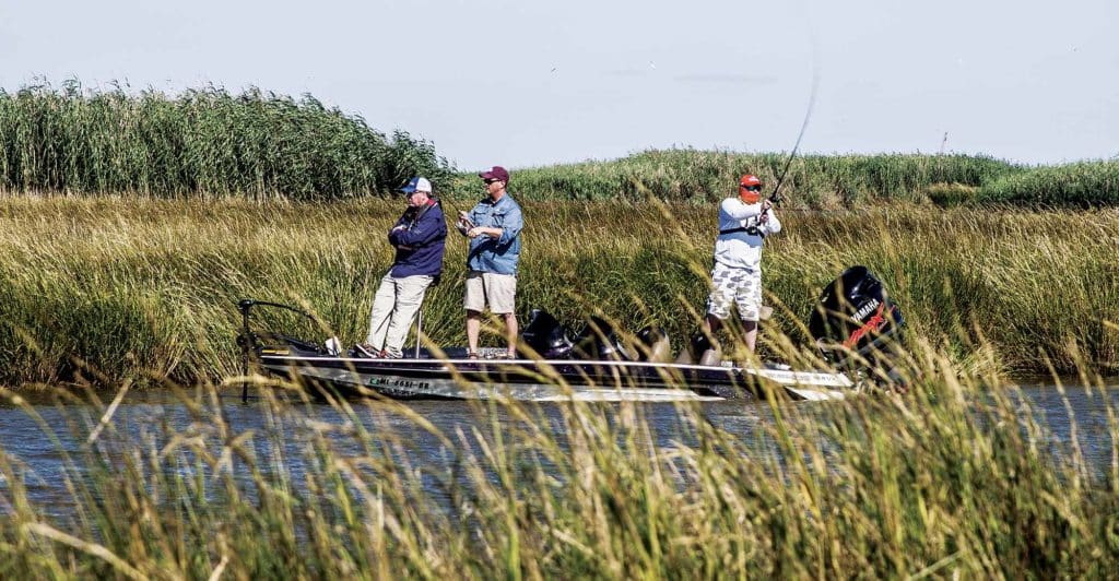 Fishing Success in Windy Weather