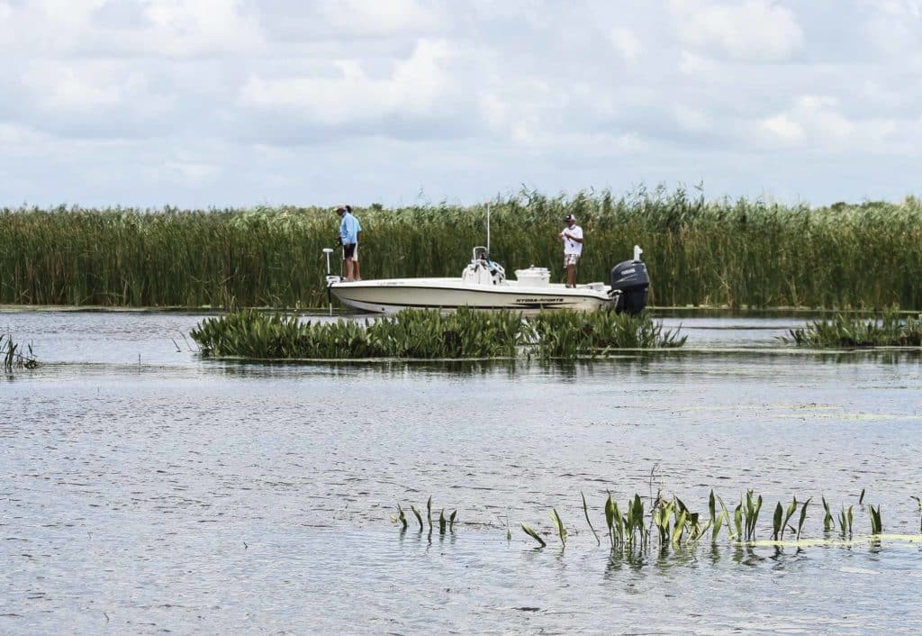 Fishing Success in Windy Weather