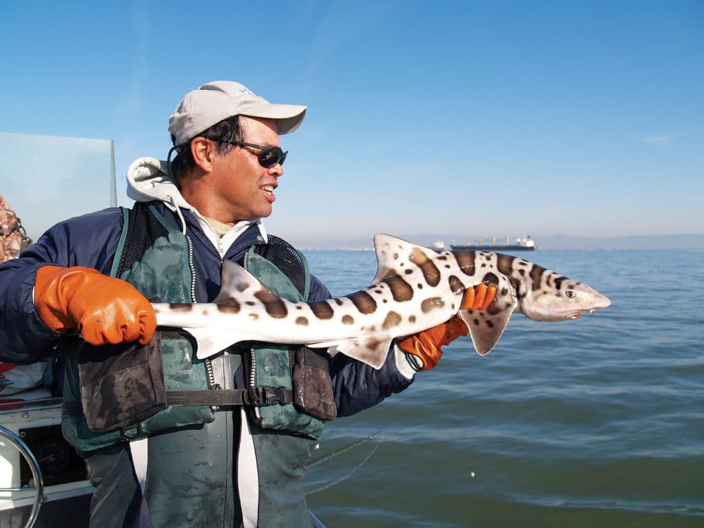 Fast Fishing Around Six International Airports