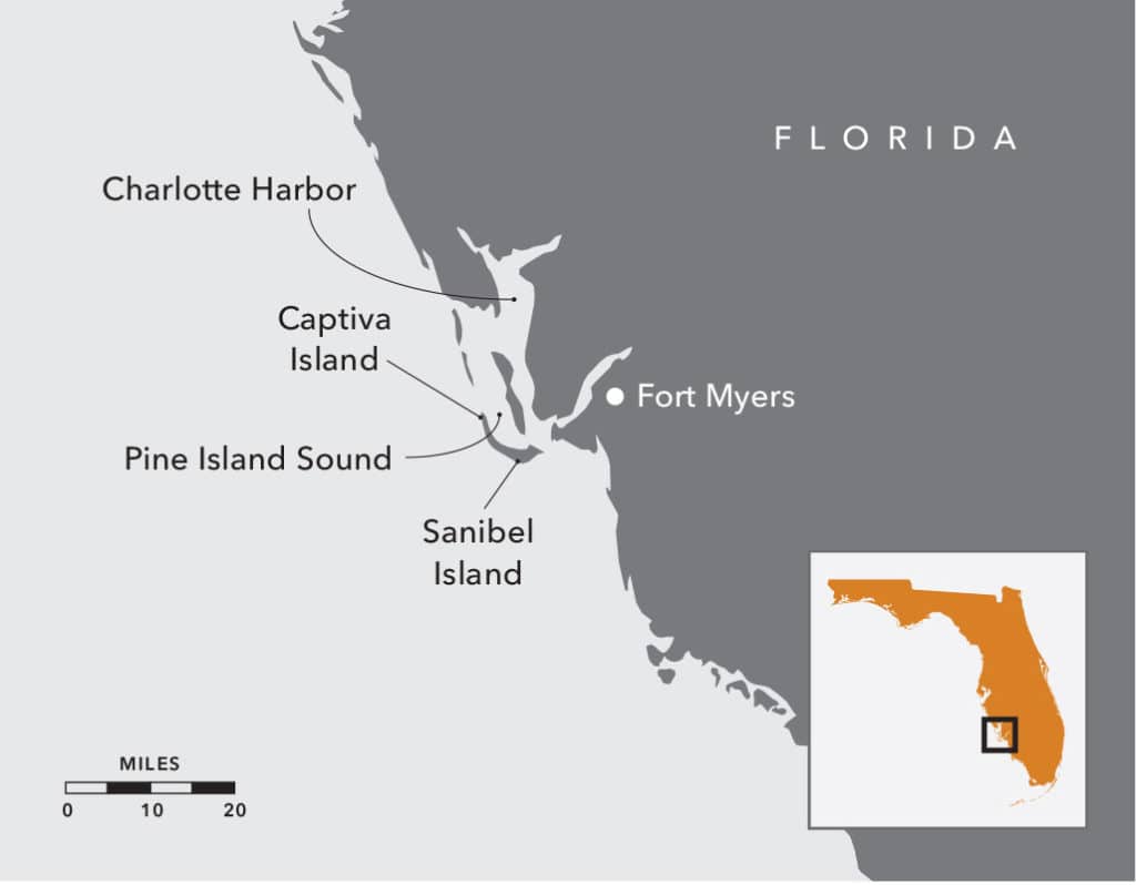 Kayak-Fish Southwest Florida's Offshore Wrecks from a Mini Mothership