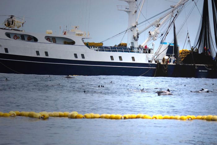 The Fight to Give Costa Rica Tuna Back to Costa Ricans