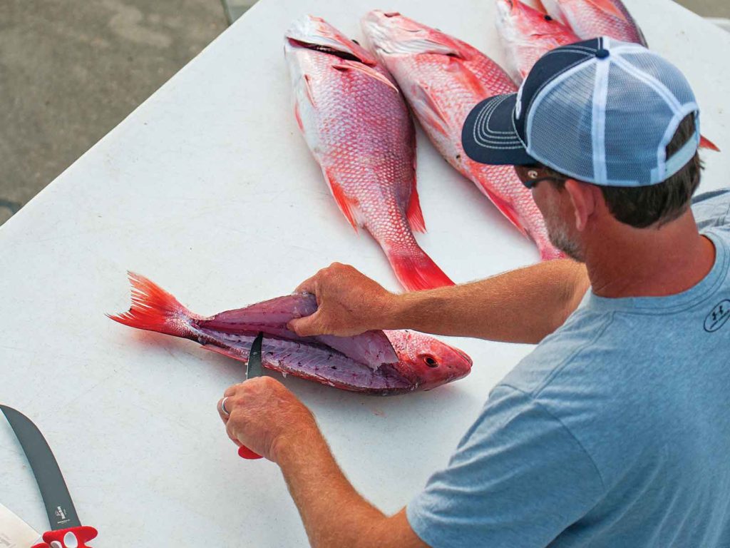 filleting red snapper fish caught fishing Gulf of Mexico