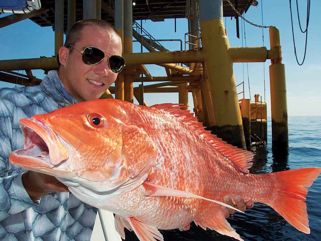 red snapper caught Gulf of Mexico fishing oil rig