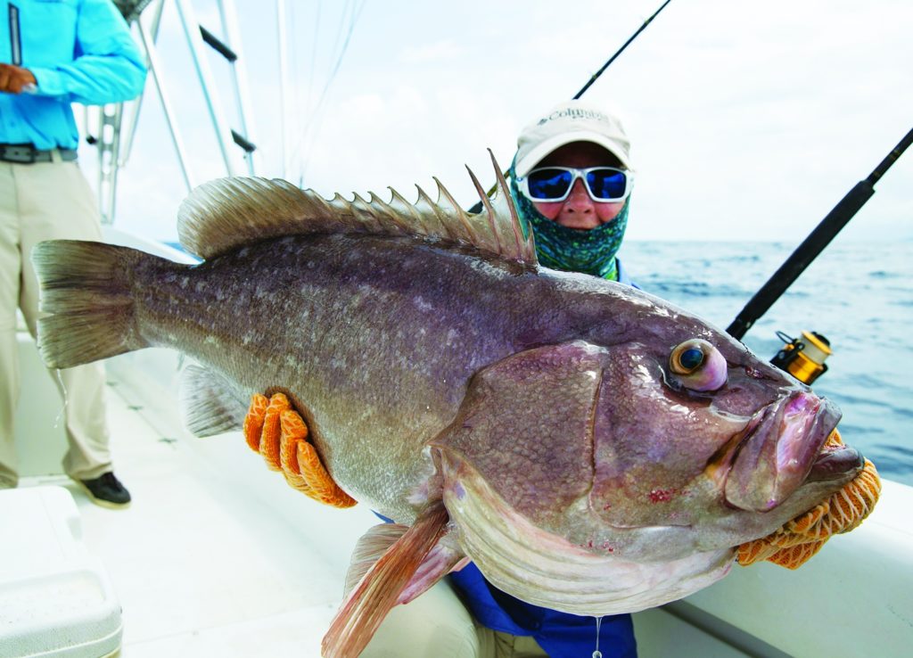 A strange fish from the deep sea