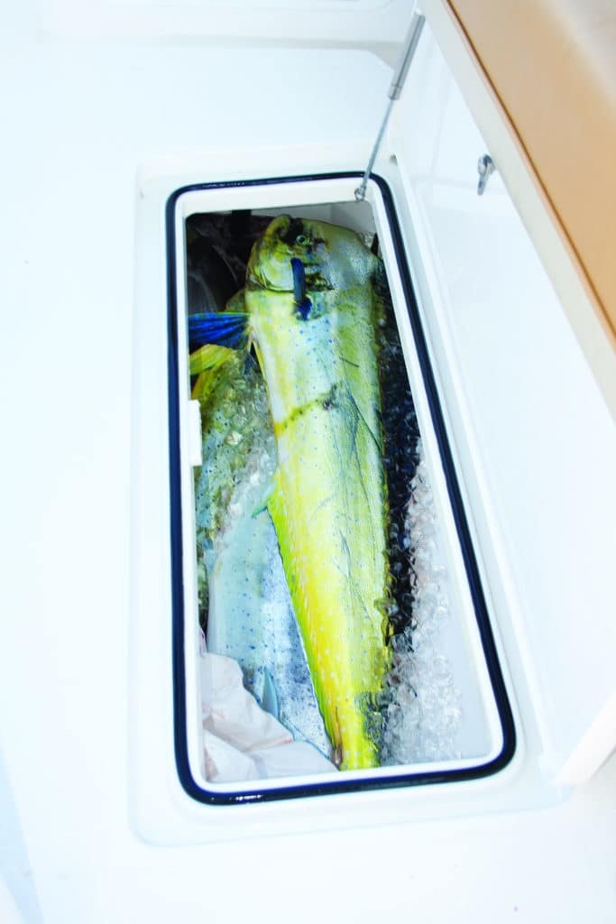 The Mag Bay 33 offers big insulated fish lockers.