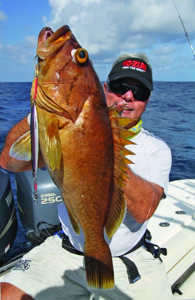 A mysterious grouper from the Seychelles