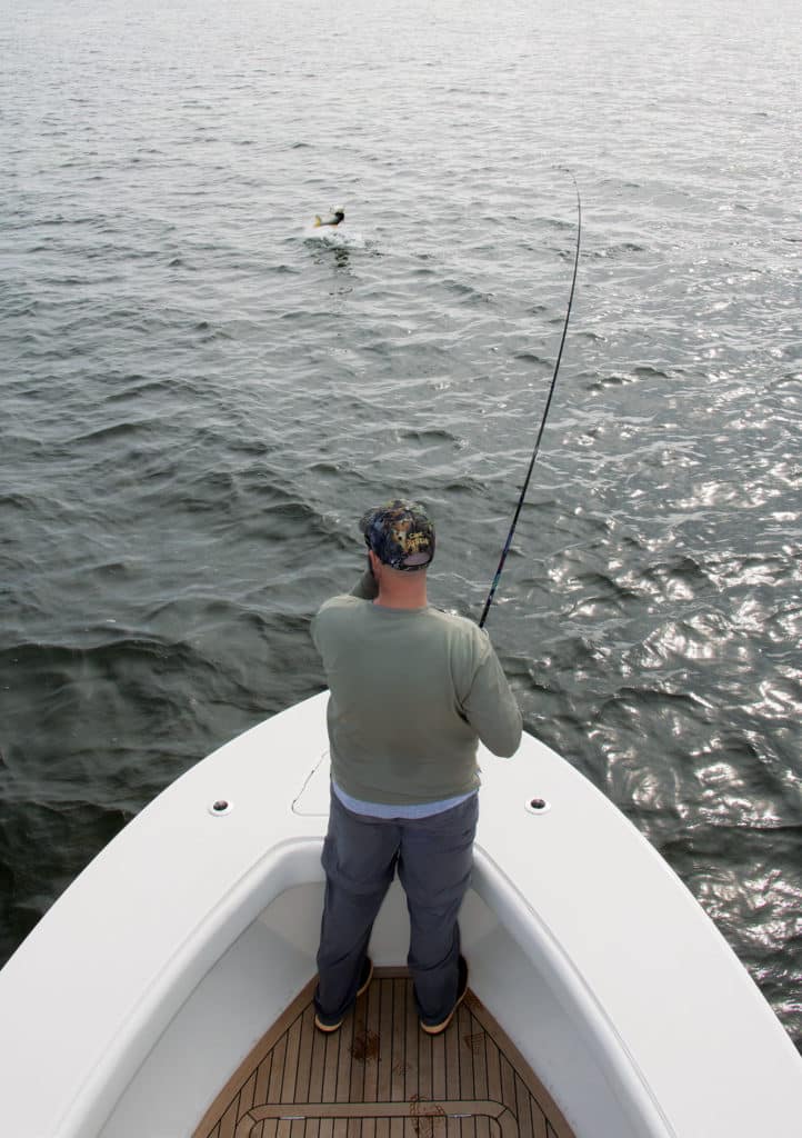 Jupiter 25 Bay boat fishing