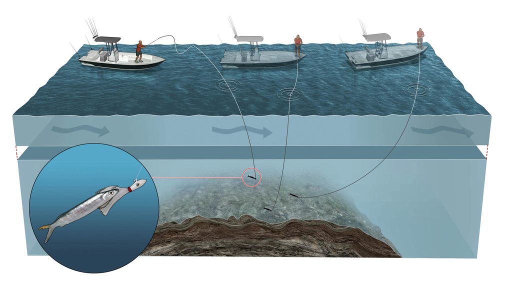 Drift-Fish Reefs Using Ballyhoo on Bucktail Jigs