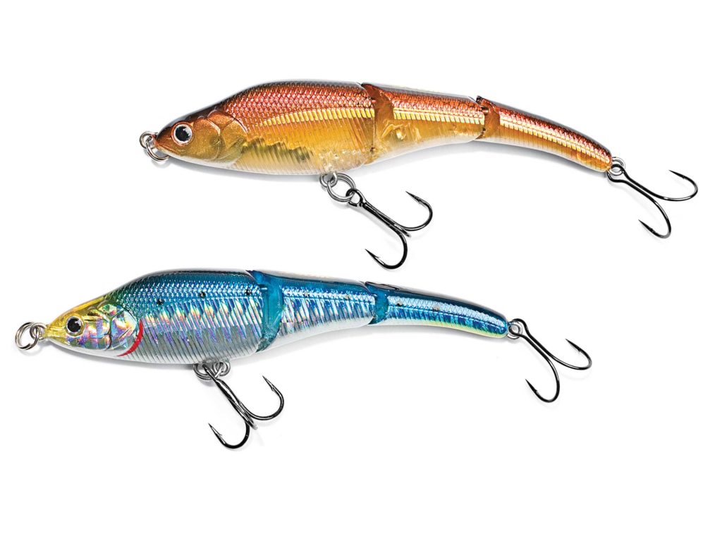 What You Need to Know About Segmented Hard Baits