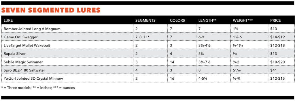 What You Need to Know About Segmented Hard Baits