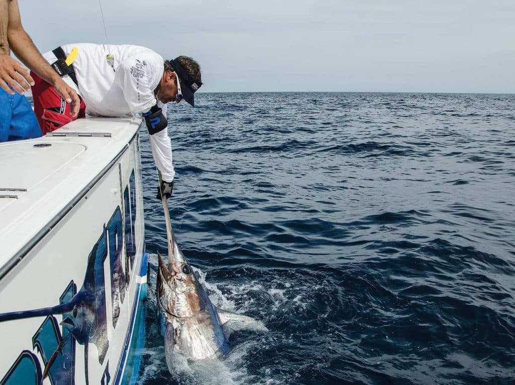 Swordfishing's Most Innovative Tactics from Around the World
