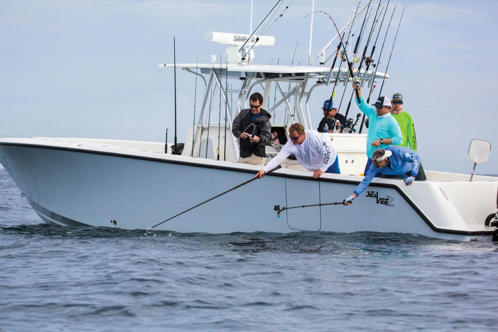 Great Light-Tackle Kingfish Sport off Central Florida