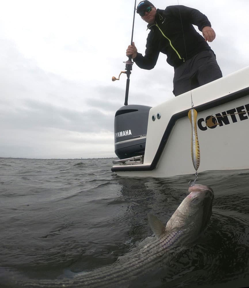 How to Catch Striped Bass