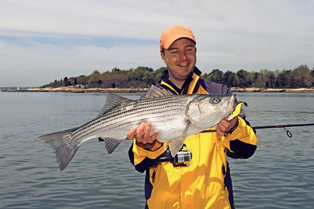 Best Striper Lures for Casting and Jigging to Striped Bass