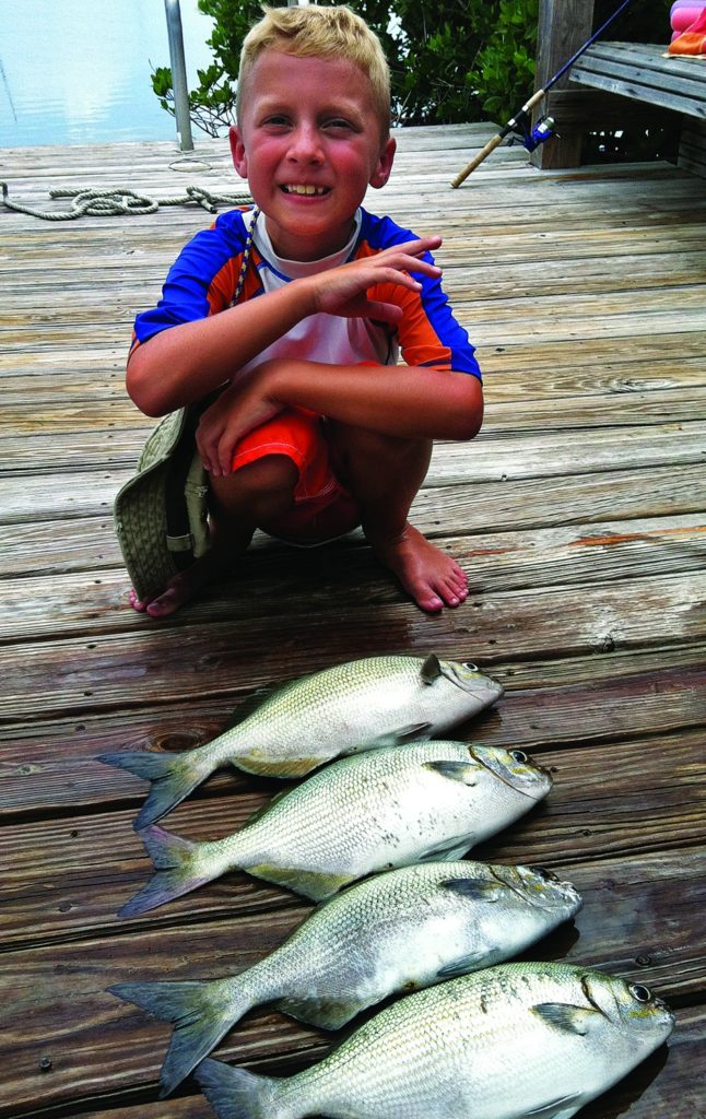 Young angler with a catch of chubs