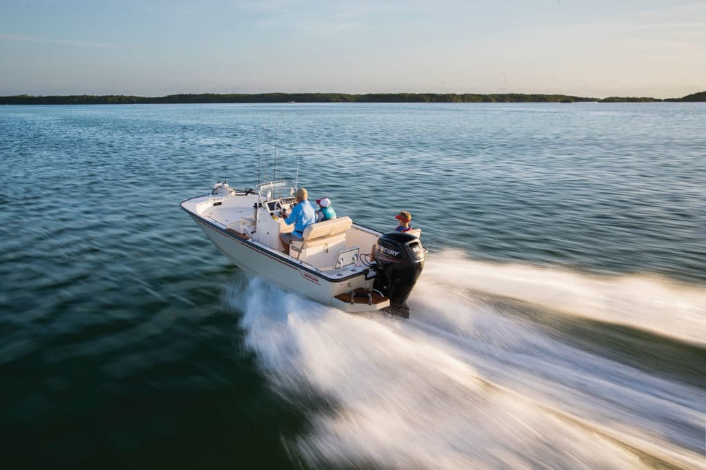 Boston Whaler 170 Montauk First Glance